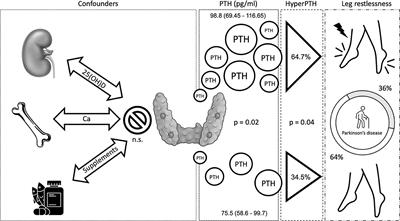 Leg restlessness and hyperparathyroidism in Parkinson's disease, a further clue to RLS pathogenesis?